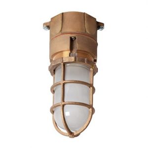 BVP LED