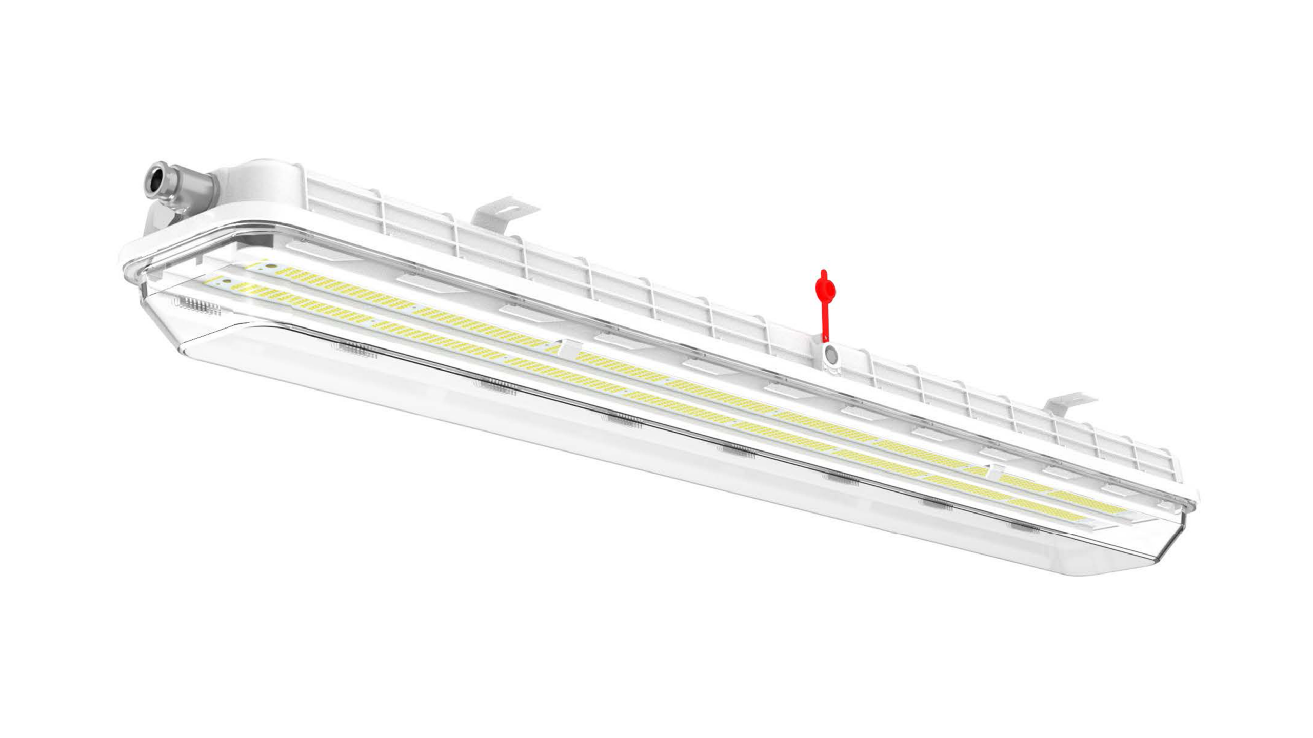 explosion-proof lighting, Rig-A-Lite explosion-proof lighting